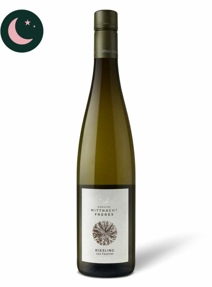 154 mittnacht freres riesling les fosilles 2019