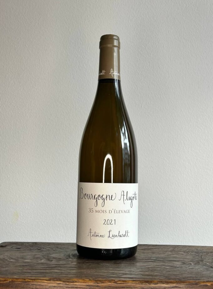 Photo 2025 01 13 13.01.28