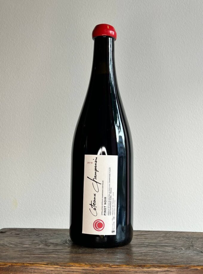 Photo 2025 02 07 18.13.55 2