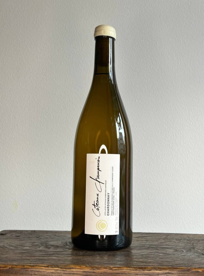 Photo 2025 02 07 18.16.09