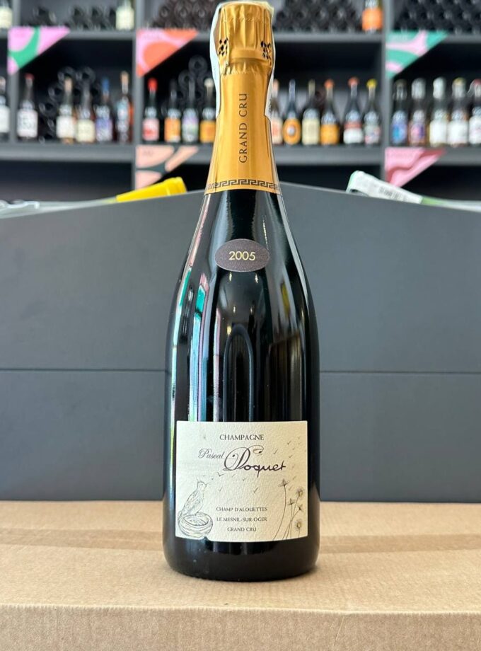 Photo 2025 08 11 14.55.14